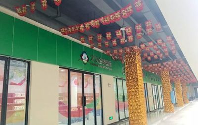 大汉金桥食品百货城 引领新商业时代湖南商贸物流发展